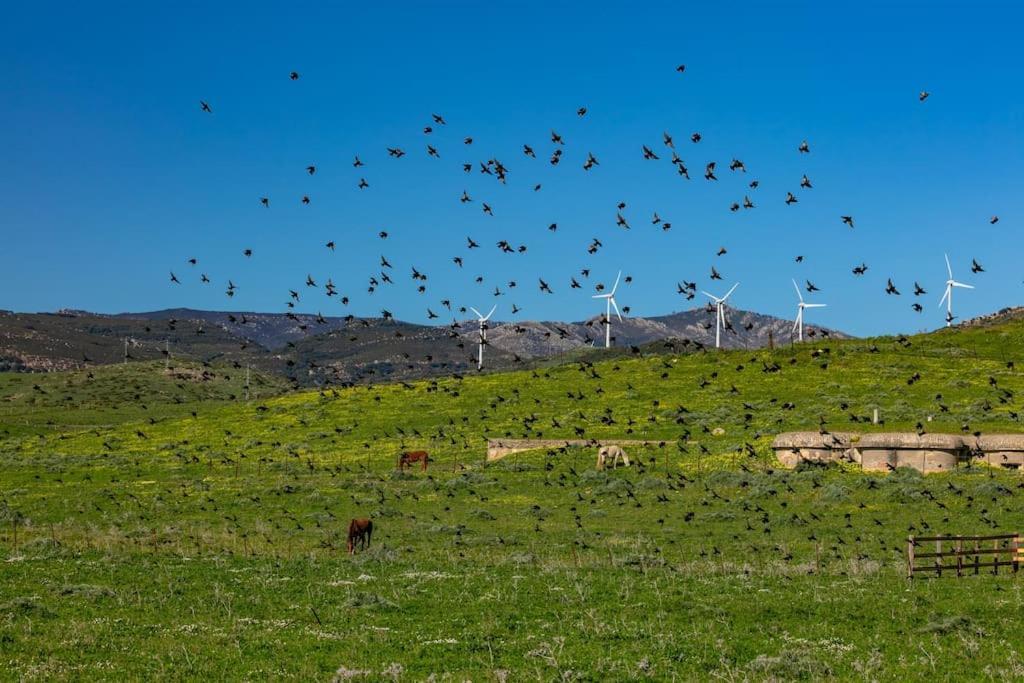 طريفة Habitaciones Rurales La Vega المظهر الخارجي الصورة