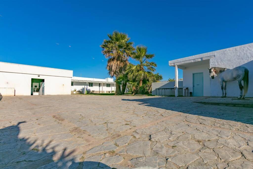 طريفة Habitaciones Rurales La Vega المظهر الخارجي الصورة
