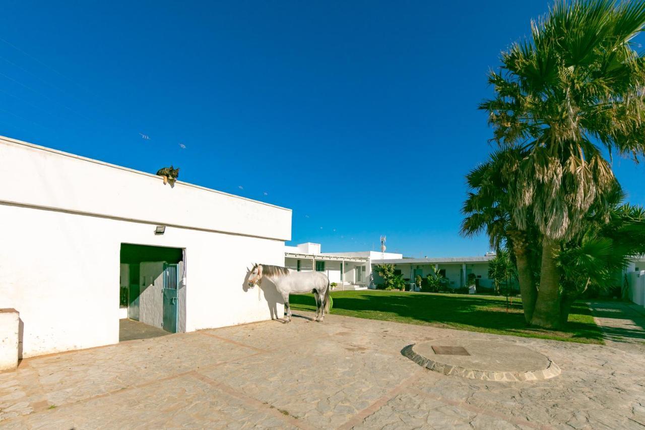طريفة Habitaciones Rurales La Vega المظهر الخارجي الصورة